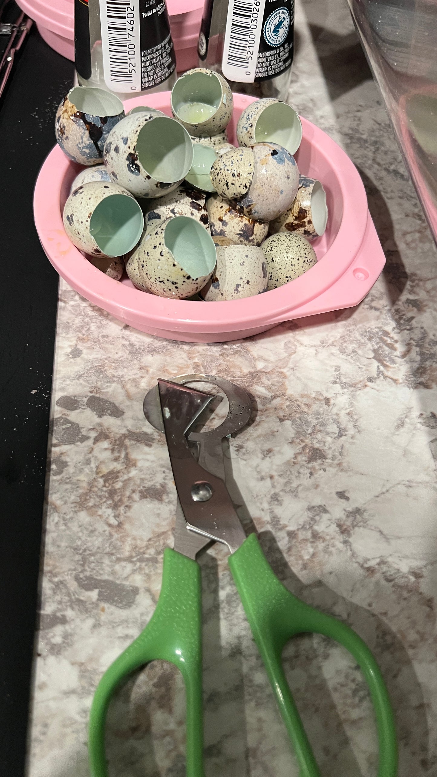 30 Speckled Quail Eggs Delivered in Person Locally