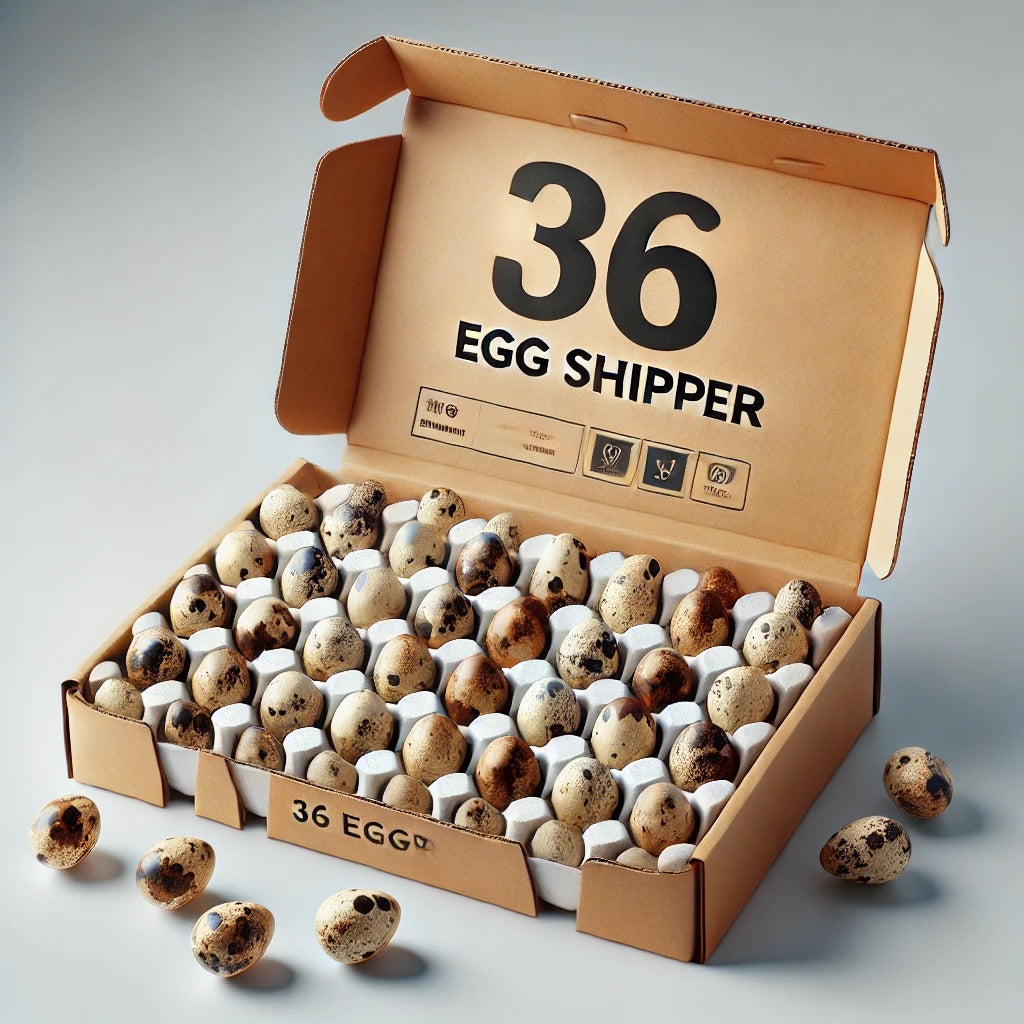 Farm Fresh Quail Egg Subscription