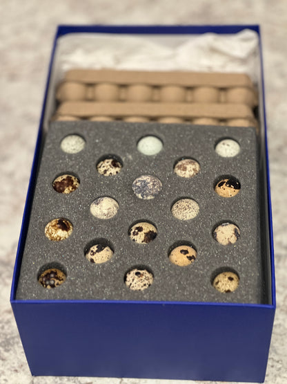 36 Speckled Quail Eggs Shipped