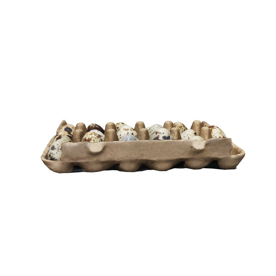 Tap this image to view the eggs in 3D!