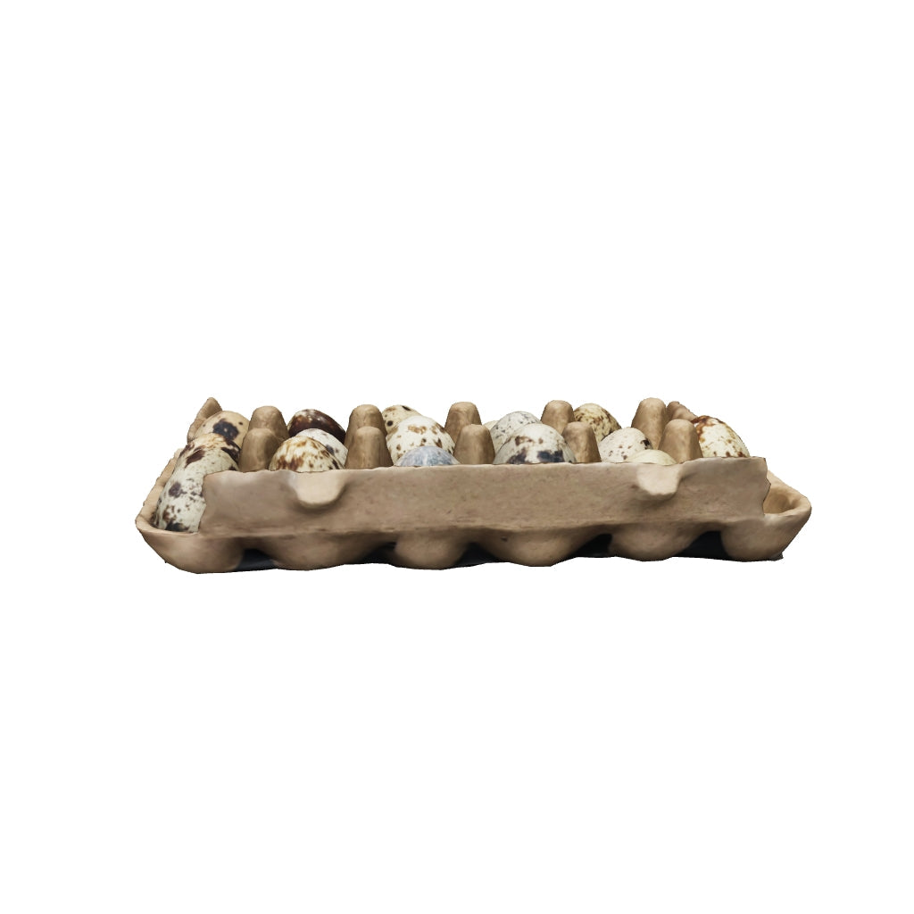 Tap this image to view the eggs in 3D!